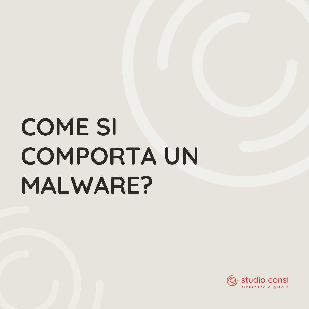 Come si comporta un malware?
